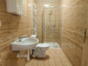 Pronájem bytu 1+1, Cheb, Dragounská, 26 m2