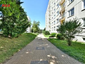 Prodej bytu 1+1, Nová Paka, K Hájku, 33 m2
