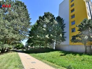 Prodej bytu 1+1, Nová Paka, K Hájku, 33 m2
