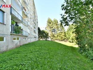 Prodej bytu 1+1, Nová Paka, K Hájku, 33 m2
