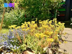 Prodej zahrady, Karviná, 163 m2