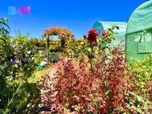 Prodej zahrady, Karviná, 163 m2