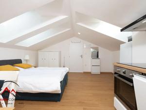 Pronájem bytu 1+kk, Ostrava, Cihelní, 30 m2