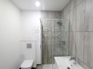 Pronájem bytu 2+kk, Frýdek-Místek - Frýdek, Růžový pahorek, 46 m2