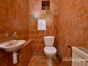 Pronájem bytu 3+kk, Brno - Staré Brno, Pekařská, 100 m2