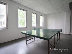 Pronájem bytu 3+kk, Brno - Staré Brno, Pekařská, 100 m2