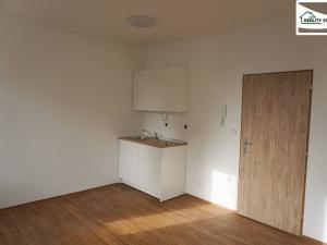 Pronájem bytu 1+kk, Cheb, Dragounská, 25 m2