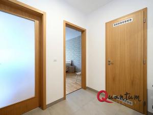 Pronájem bytu 2+kk, Praha - Holešovice, Argentinská, 50 m2