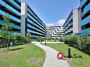 Pronájem bytu 2+kk, Praha - Holešovice, Argentinská, 50 m2