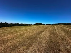 Prodej louky, Nový Jičín, 10482 m2