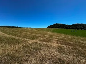 Prodej louky, Nový Jičín, 10482 m2