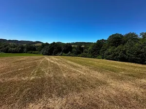 Prodej louky, Nový Jičín, 10482 m2
