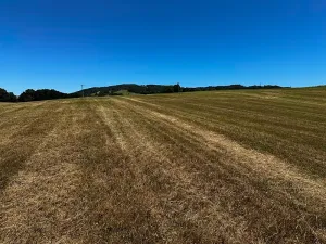Prodej louky, Nový Jičín, 10482 m2