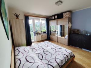Pronájem bytu 2+1, Praha, náměstí Svatopluka Čecha, 58 m2