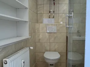 Pronájem bytu 1+kk, Brno, Dukelská třída, 27 m2