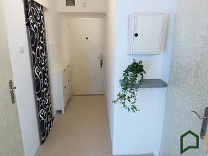 Pronájem bytu 1+1, Brno, Koliště, 49 m2
