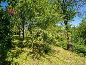 Prodej zahrady, Bohdalice-Pavlovice - Pavlovice, 263 m2
