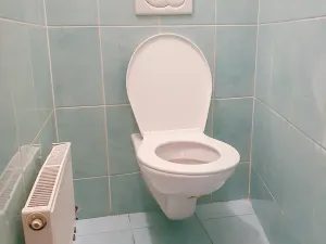 Pronájem bytu 3+kk, Praha - Malá Strana, Tržiště, 91 m2