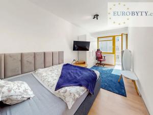 Pronájem bytu 4+kk, Praha - Podolí, Podolská, 133 m2