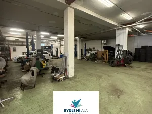 Pronájem obchodního prostoru, Praha, Lodžská, 600 m2