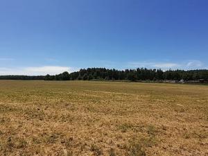 Prodej rodinného domu, Kostelec nad Černými lesy, 136 m2