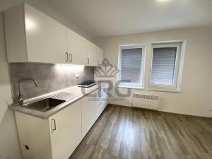 Pronájem bytu 1+kk, Brno - Maloměřice, 17 m2