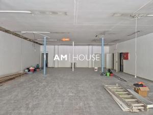 Pronájem obchodního prostoru, Praha - Michle, Budějovická, 430 m2