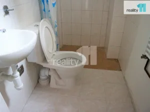 Prodej komerční nemovitosti, Ostrava - Přívoz, Rovná, 1620 m2