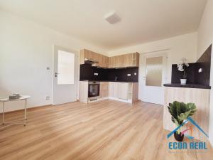 Prodej vícegeneračního domu, Stará Paka - Ústí, 300 m2