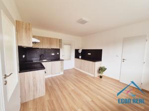 Prodej vícegeneračního domu, Stará Paka - Ústí, 300 m2