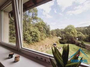 Prodej vícegeneračního domu, Stará Paka - Ústí, 300 m2