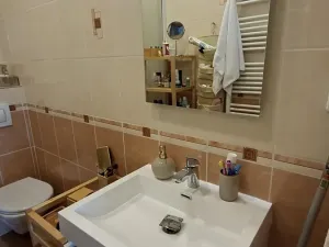 Pronájem bytu 2+1, Praha - Žižkov, Jičínská, 67 m2