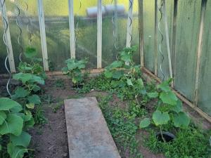Prodej chaty, Hradec Králové - Plácky, Zahrádkářská osada U Labe, 21 m2