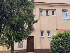 Pronájem bytu 2+kk, Brno - Královo Pole, Božetěchova, 38 m2