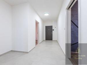 Pronájem bytu 3+kk, Plzeň - Jižní Předměstí, Železná, 115 m2