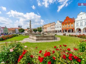 Prodej rodinného domu, Telč - Telč-Vnitřní Město, náměstí Zachariáše z Hradce, 300 m2