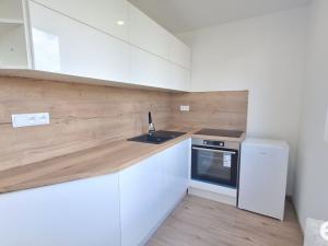 Pronájem bytu 2+kk, Zruč nad Sázavou, Na Výsluní, 53 m2