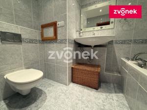 Pronájem bytu 1+1, Zlín, Dětská, 35 m2