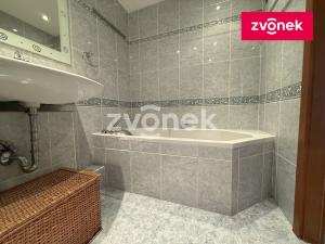 Pronájem bytu 1+1, Zlín, Dětská, 35 m2