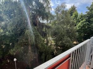 Pronájem bytu 2+1, Olomouc - Povel, Heyrovského, 58 m2