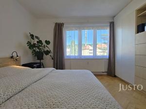 Prodej bytu 3+1, Písek, Za Pazdernou, 74 m2