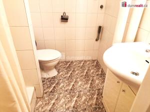 Pronájem bytu 1+kk, Ústí nad Labem - Ústí nad Labem-centrum, Velká Hradební, 39 m2