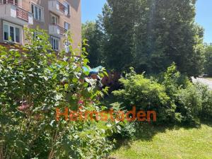Pronájem bytu 2+1, Havířov - Město, Na Nábřeží, 58 m2