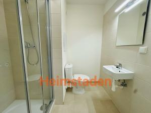 Pronájem bytu 1+kk, Ostrava - Zábřeh, Petruškova, 28 m2