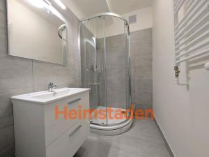 Pronájem bytu 1+1, Ostrava - Poruba, 17. listopadu, 42 m2