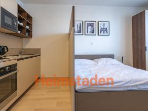 Pronájem bytu 1+kk, Plzeň - Jižní Předměstí, Magisterská, 41 m2