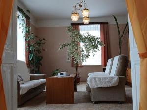 Prodej rodinného domu, Vítkov, Opavská, 320 m2