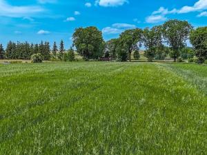 Prodej pozemku pro bydlení, Chodouň, 6761 m2