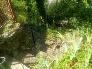 Prodej chaty, Dolní Břežany - Jarov, 36 m2