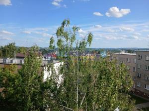 Prodej bytu 3+1, Havlíčkův Brod, Na Spravedlnosti, 71 m2